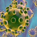 Coronavírus - Informação, orientação e a Profile Picture