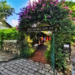 ELISABETE FARJALLA Profile Picture