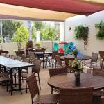 Fernando Lapa Profile Picture