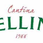 ricardo martins Profile Picture