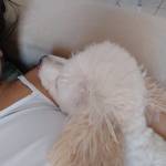 danyelleribeiro Profile Picture