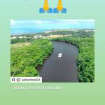 Patrícia Ignacio Profile Picture