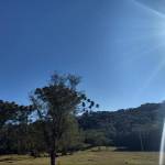 Ssborecultura Profile Picture