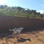 Claudia do val Profile Picture