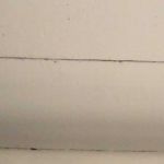 Anônimo Anon Profile Picture