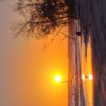 Ramones Profile Picture