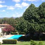 ANDREZZA ALVES Profile Picture