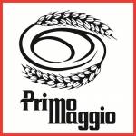 Rodrigo Primo Maggio Pães Profile Picture