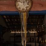 adrianne ciantelli Profile Picture