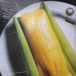 Darlene Lima Profile Picture