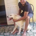 Ebenilson Rezende Profile Picture