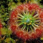 Luciana Camara Profile Picture