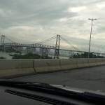 Viviane Fusco Profile Picture