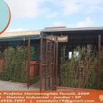 Casadaliz Profile Picture