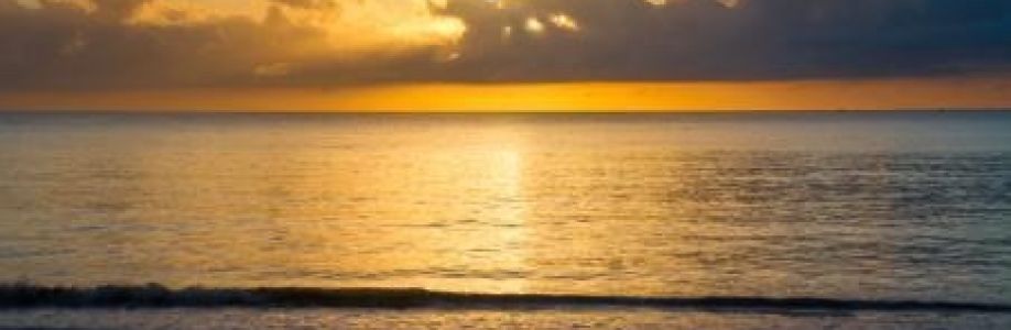 Richard Alves Cover Image