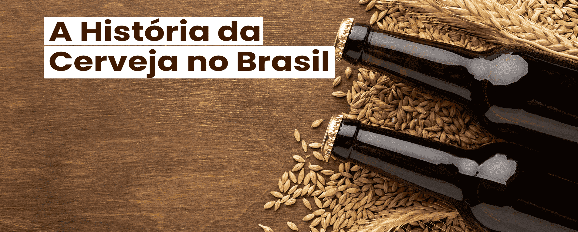7 Fatos e Curiosidades Sobre a História da Cerveja no Brasil