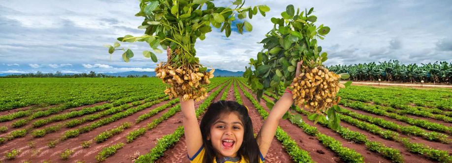 Importador de maní Cover Image