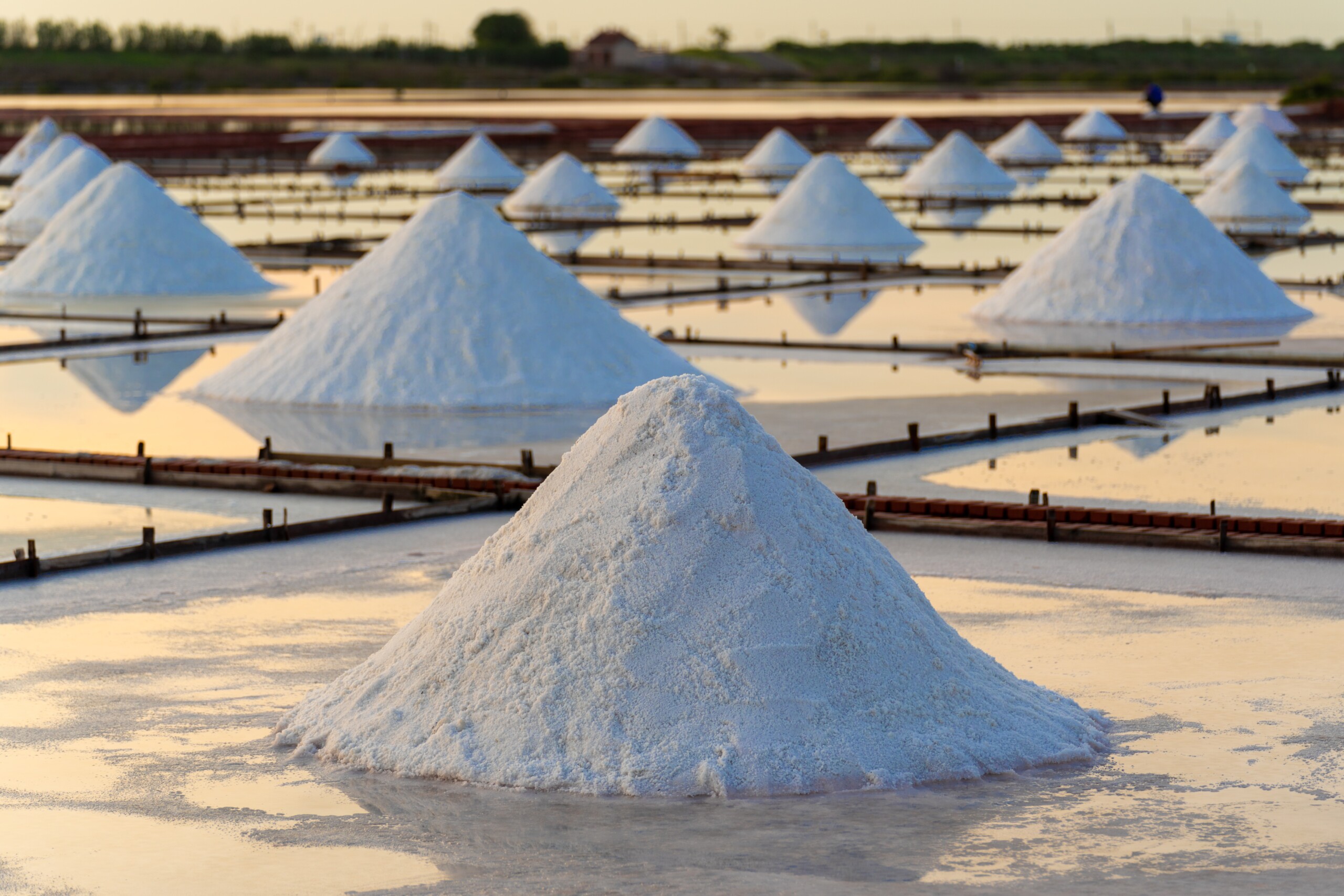 E o sal tem prazo de validade? - Food Safety Brazil