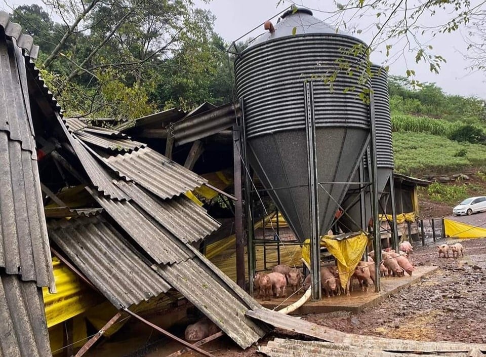 Enchentes no Rio Grande do Sul levam à flexibilização na produção de alimentos - Food Safety Brazil