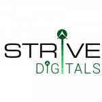 Strive Digital Private Limited Profile Picture